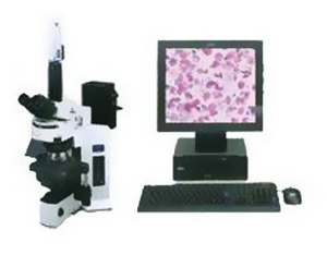数字医学（液基细胞学）图像分析系统